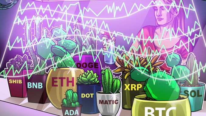Price analysis 2/24: BTC, ETH, BNB, XRP, ADA, DOGE, MATIC, SOL, DOT, SHIB