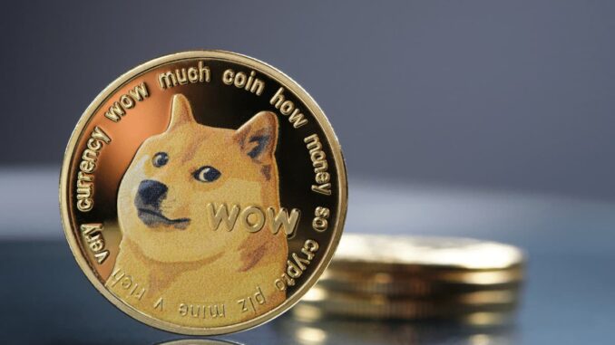 Dogecoin Foundation Introduces a New Core Devlopment Fund